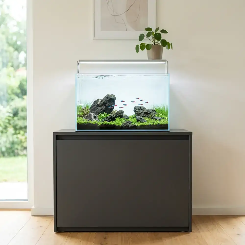 Sleek minimalist aquarium on a matte cabinet