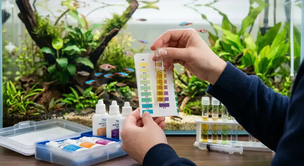 Close up of testing water parameters in an aquarium